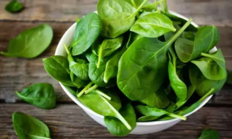 9 Vegetables With A High Protein Content That Promote Muscular Growth