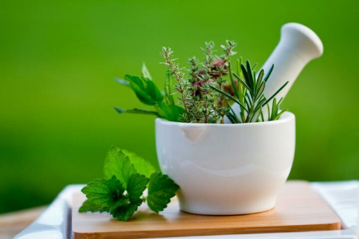 Herbal Remedies: 5 Herbs to Boost Memory and Brain Health