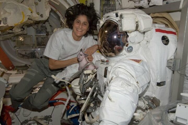 As NASA prepares for a rescue mission, Sunita Williams takes command of the International Space Station